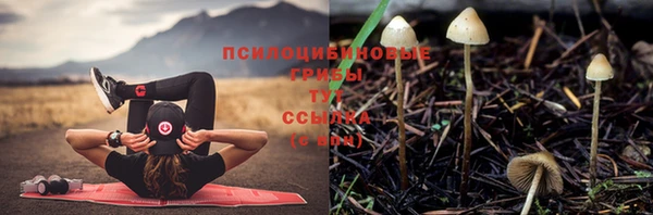 мдпв Кукмор