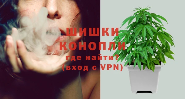 мдпв Кукмор