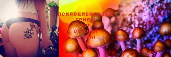 гидра Куйбышев