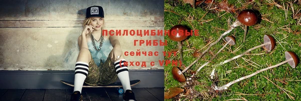 тгк Краснослободск