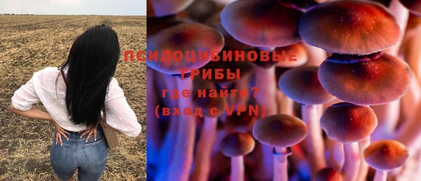 хмурый Краснотурьинск
