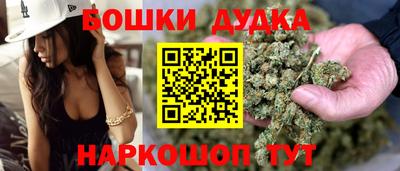сатива Кингисепп
