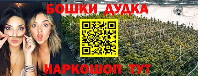 сатива Кингисепп