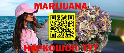 сатива Кингисепп