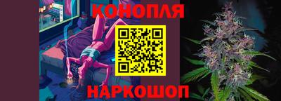 сатива Кингисепп