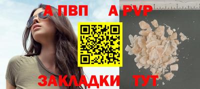 сатива Кингисепп