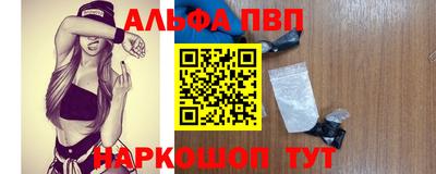 стаф Кинель