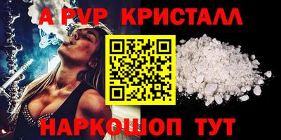 стаф Кинель