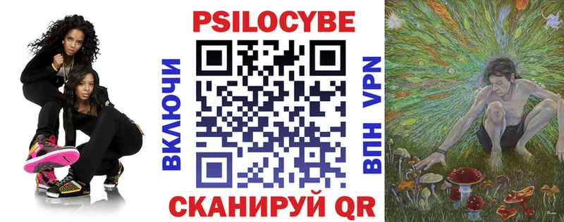 Галлюциногенные грибы Psilocybe закладка Новокузнецк
