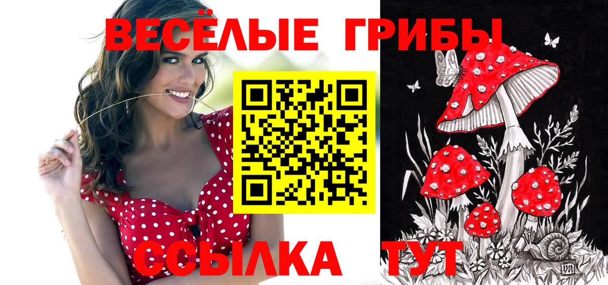 Псилоцибиновые грибы Cubensis Новокузнецк