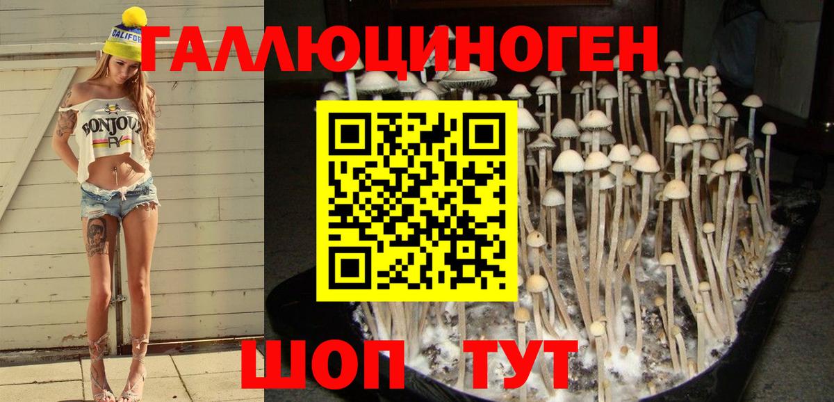 как найти наркотики  Вход с VPN  Новокузнецк  Галлюциногенные грибы мицелий 