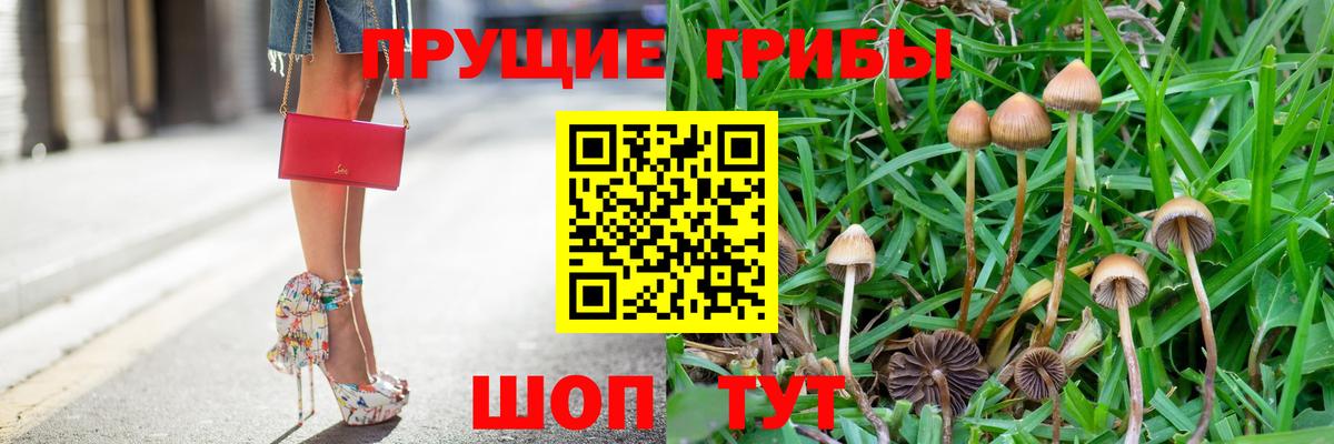 Галлюциногенные грибы Magic Shrooms  Новокузнецк 