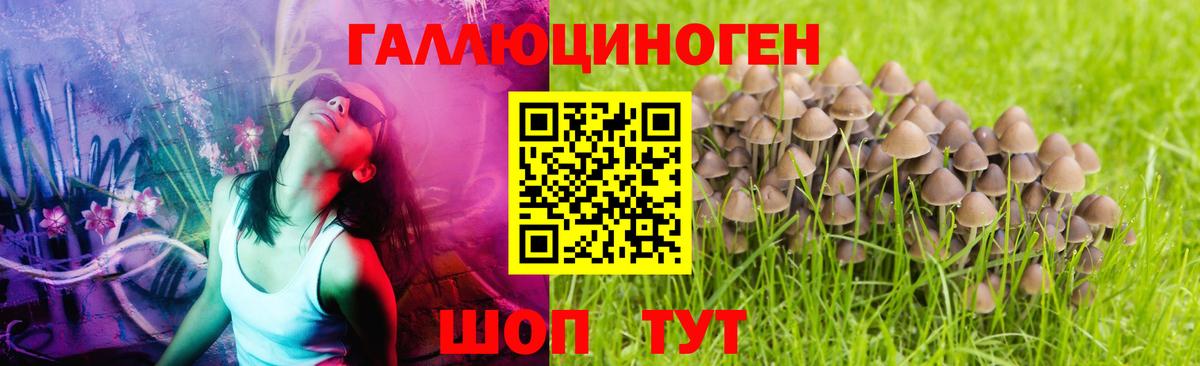 Галлюциногенные грибы MAGIC MUSHROOMS Новокузнецк